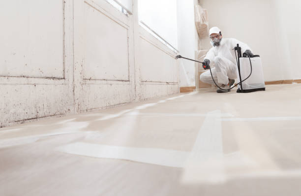 24/7 Emergency Black Mold Remediation experts in Franktown, VA
